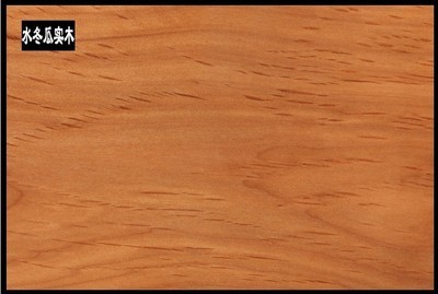 佛山市南海區駿藤家具 熱推新品真藤沙發，引領酒店家具新潮流